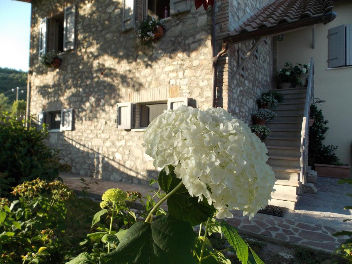 B&B Nonna Rosa Norcia Ngoại thất bức ảnh